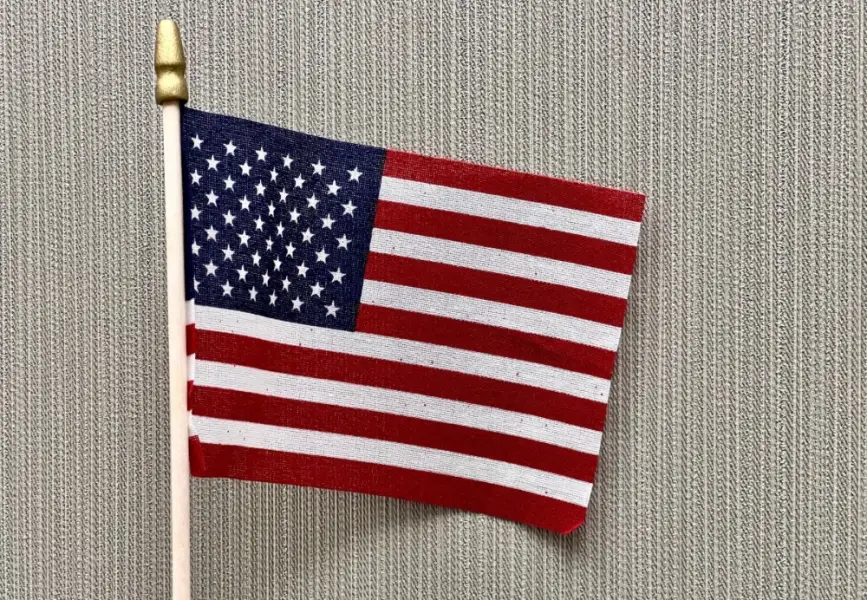 A felt American flag against a wall with tan wallpaper.