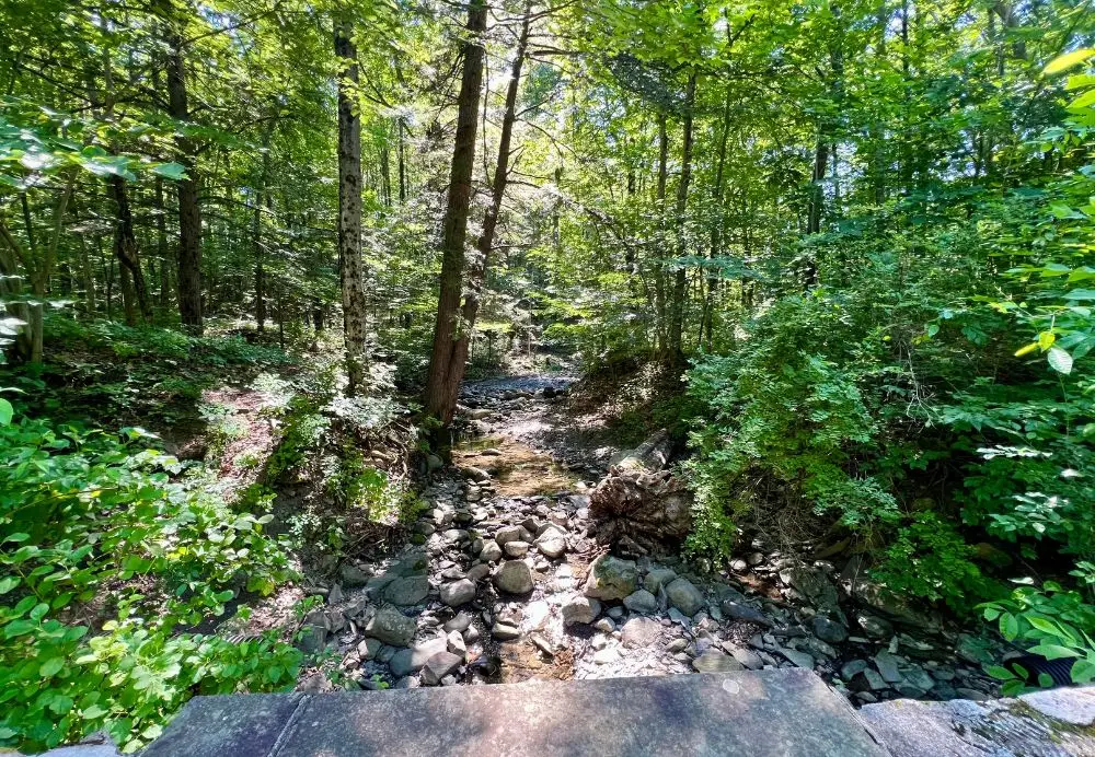 A stream in the woods along a walking path.
