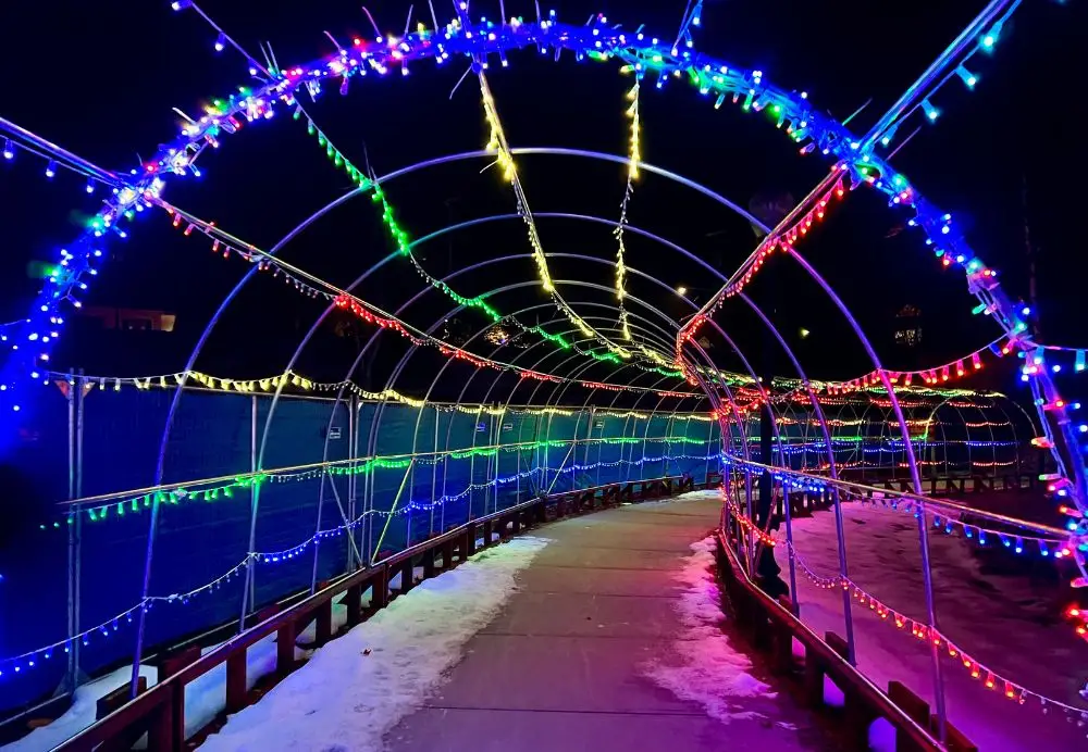 A pathway of Christmas light along a walking path at night in the winter.
